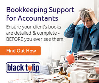 Bookkeeping Support for Accountants